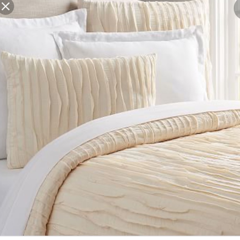 Pottery Barn Camille Ivory Queen Duvet and Shams